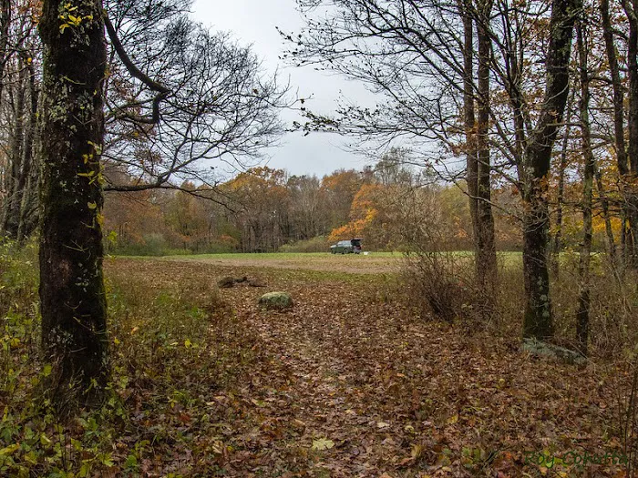 Public Camping Field 6