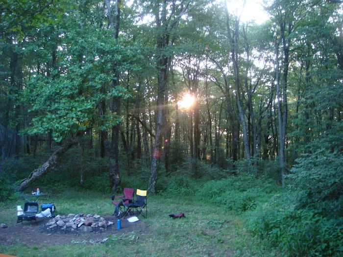 Public Camping Field 7