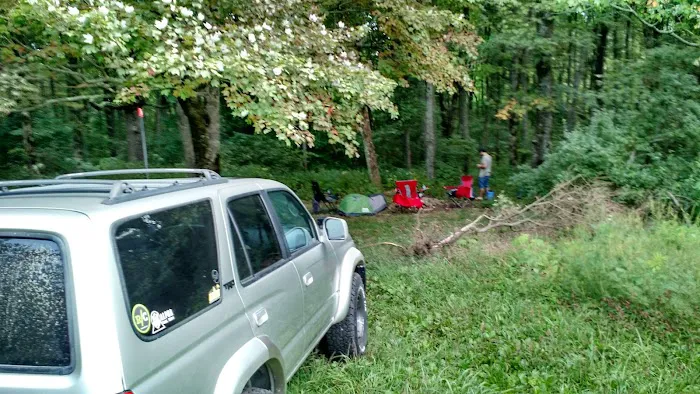 Public Camping Field 10