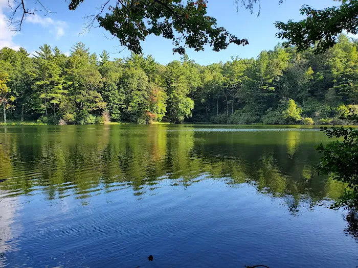 Harkins Creek 1