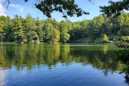 Harkins Creek