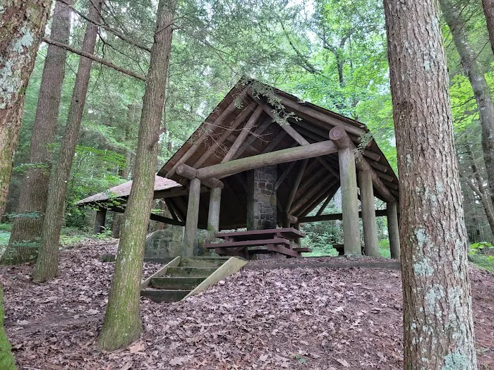 Harkins Creek 3