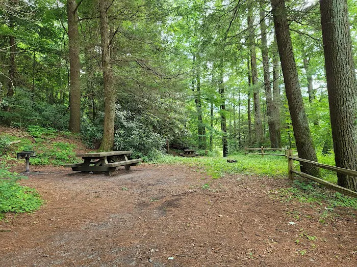 Harkins Creek 5