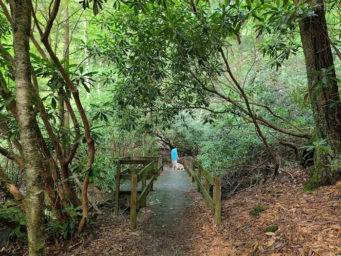 Harkins Creek 7