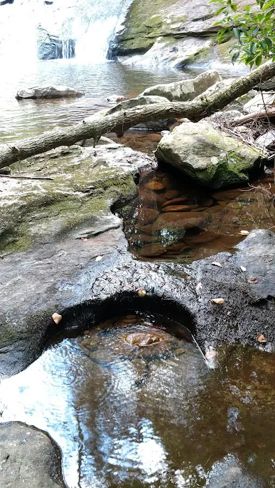 Harkins Creek 8