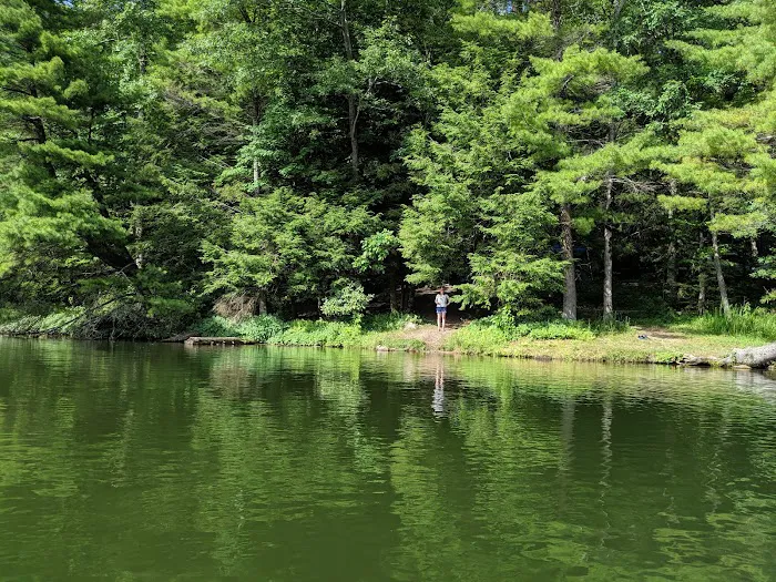 Harkins Creek 9