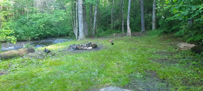 Harkins Creek 10