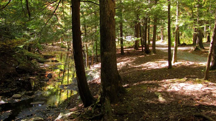 Hickey Gap Campground 1