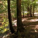 Hickey Gap Campground