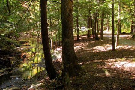 Hickey Gap Campground