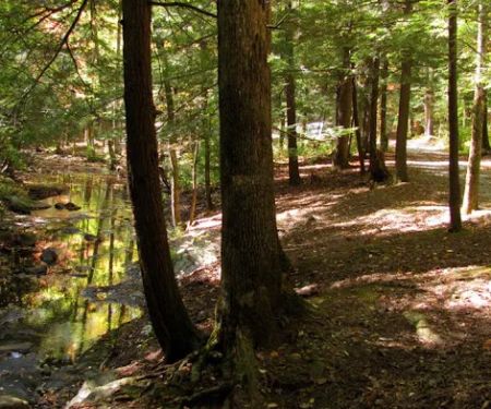 Hickey Gap Campground