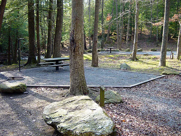 Hickey Gap Campground 4