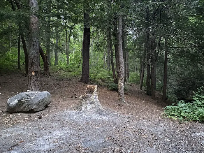 Hickey Gap Campground 5