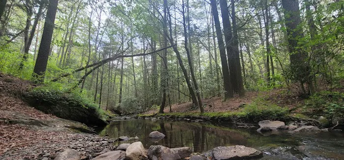 Hickey Gap Campground 9