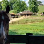 Trackrock Campground & Cabins