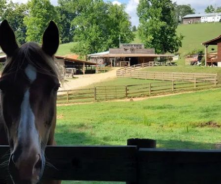 Trackrock Campground & Cabins