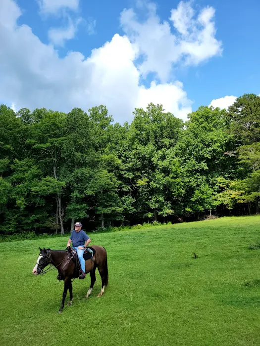 Trackrock Campground & Cabins 4