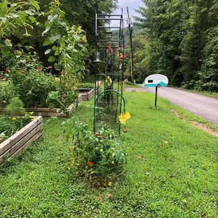 Hippie Hollow Campground 1
