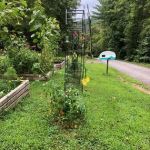 Hippie Hollow Campground