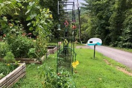 Hippie Hollow Campground
