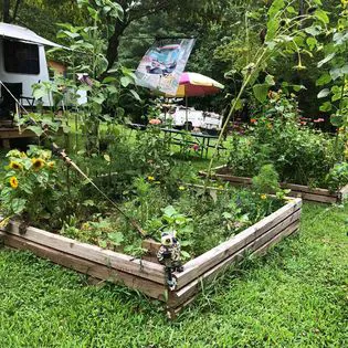 Hippie Hollow Campground 3