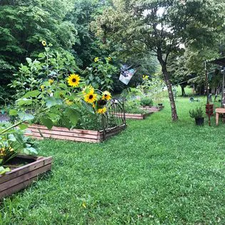 Hippie Hollow Campground 4