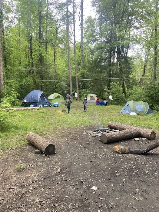 Burrell's Ford Campground Parking 4