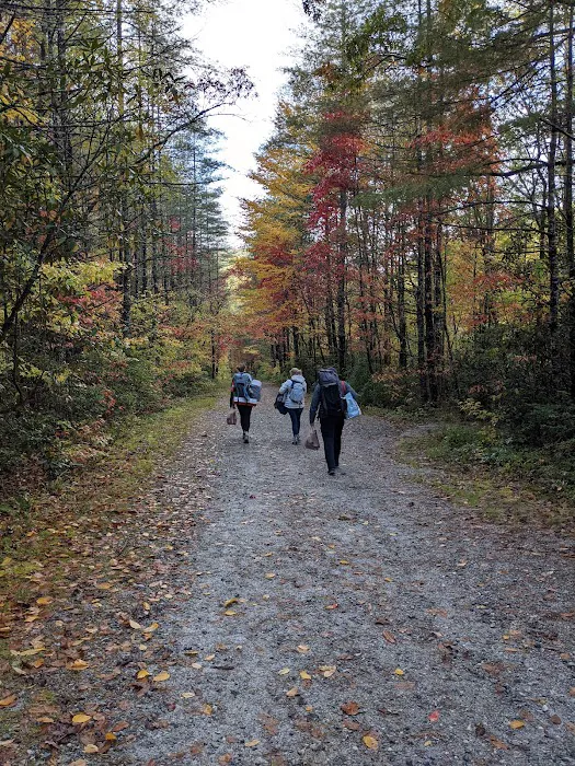 Burrell's Ford Campground Parking 6