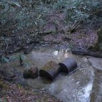 Blue Valley Roadside Camping