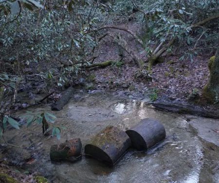 Blue Valley Roadside Camping