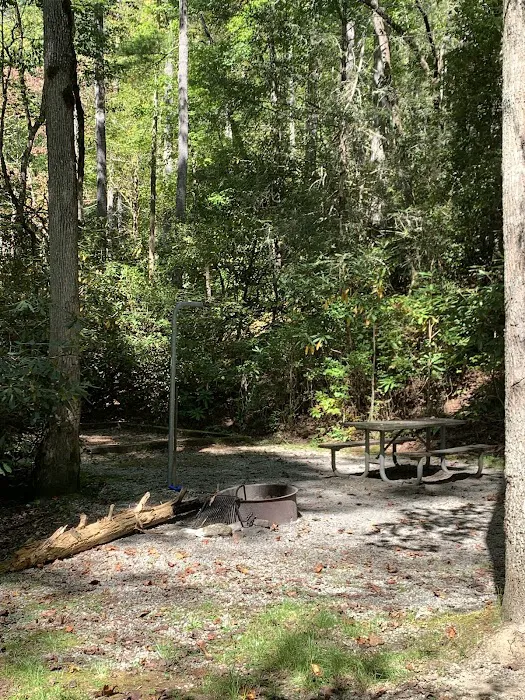 Blue Valley Roadside Camping 4
