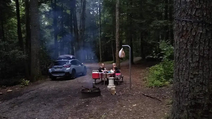 Blue Valley Roadside Camping 5