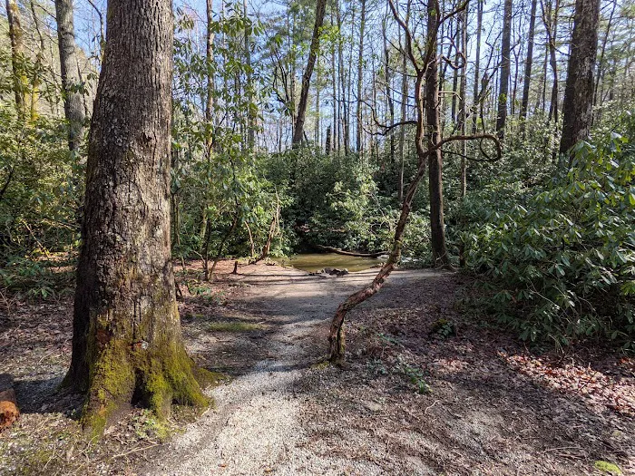 Blue Valley Campground 1