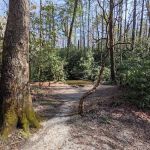 Blue Valley Campground