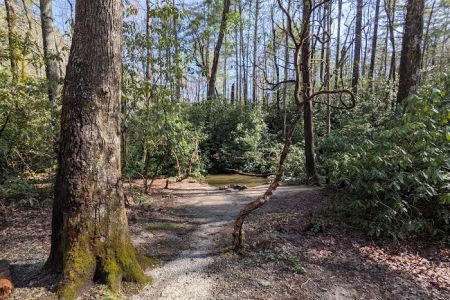 Blue Valley Campground