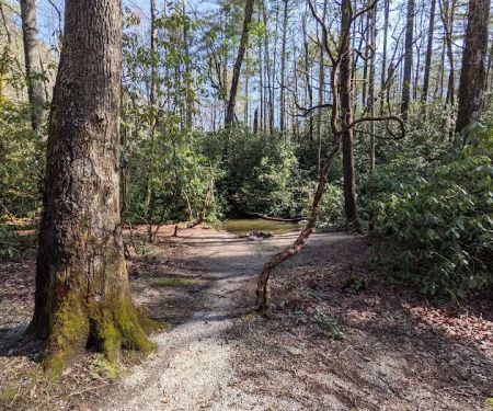 Blue Valley Campground