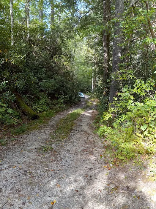 Blue Valley Campground 3