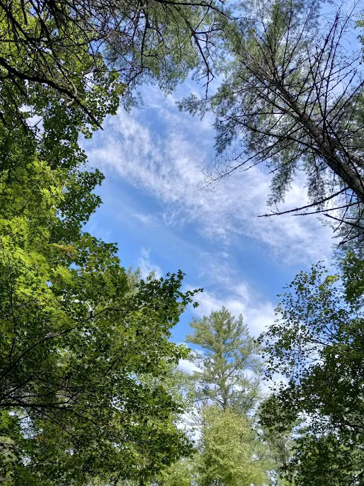 Blue Valley Campground 6