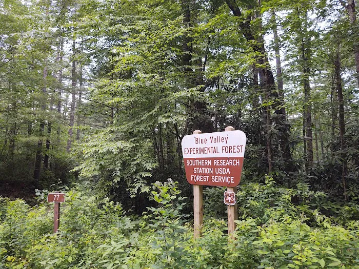 Blue Valley Campground 8