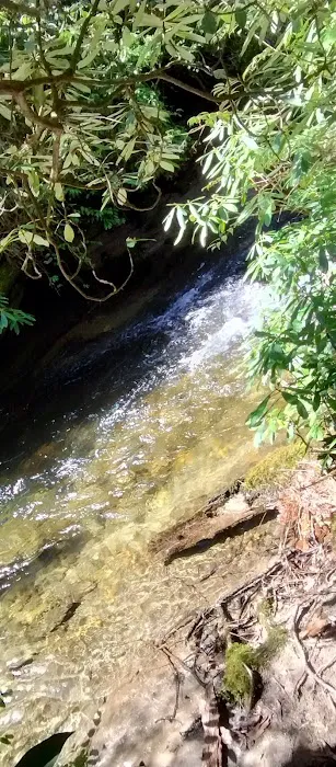 Blue Valley Campground 9
