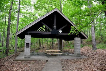 Devils fork