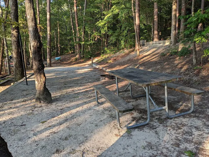 Devils fork 3
