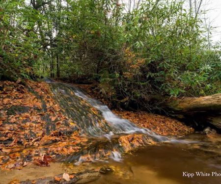 Sloan Bridge Picnic Area