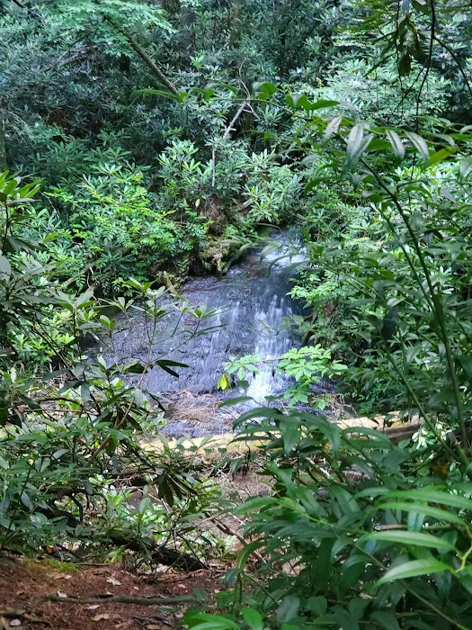 Sloan Bridge Picnic Area 2