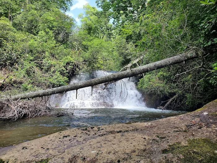 Sloan Bridge Picnic Area 6