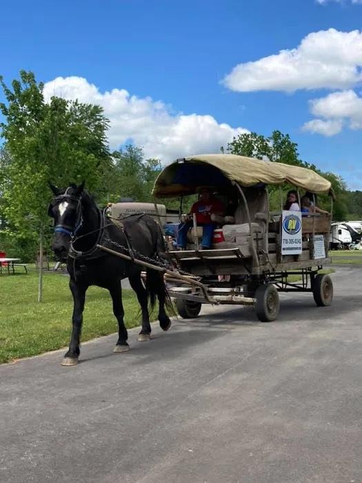 Willow Valley RV Resort 5