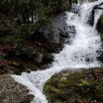 Cradle of Forestry In Amer I