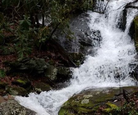 Cradle of Forestry In Amer I