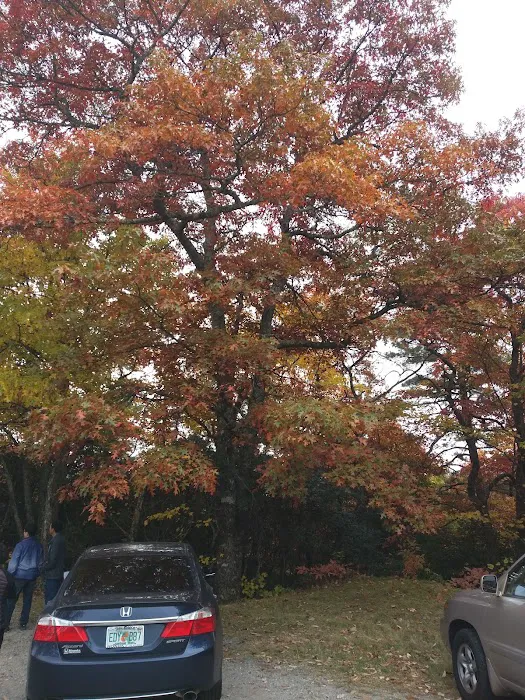 Cradle of Forestry In Amer I 4
