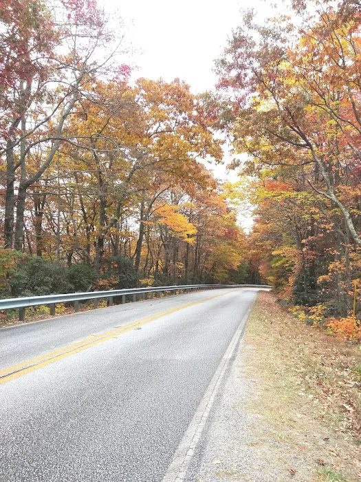 Cradle of Forestry In Amer I 8